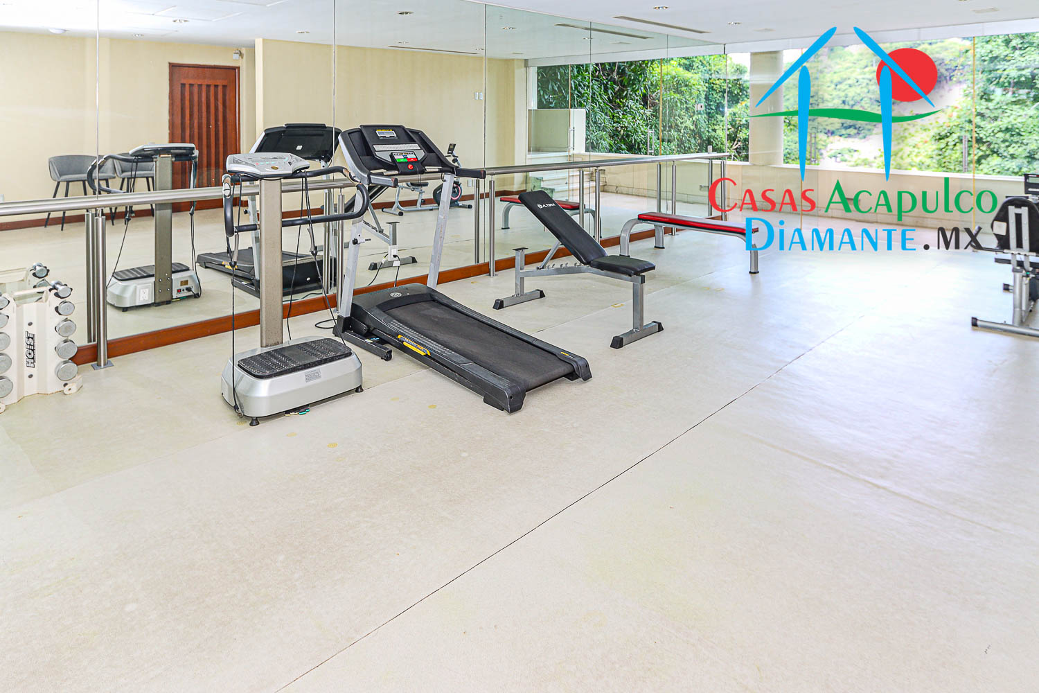 Villa Portofino - Gimnasio antes de Otis 2